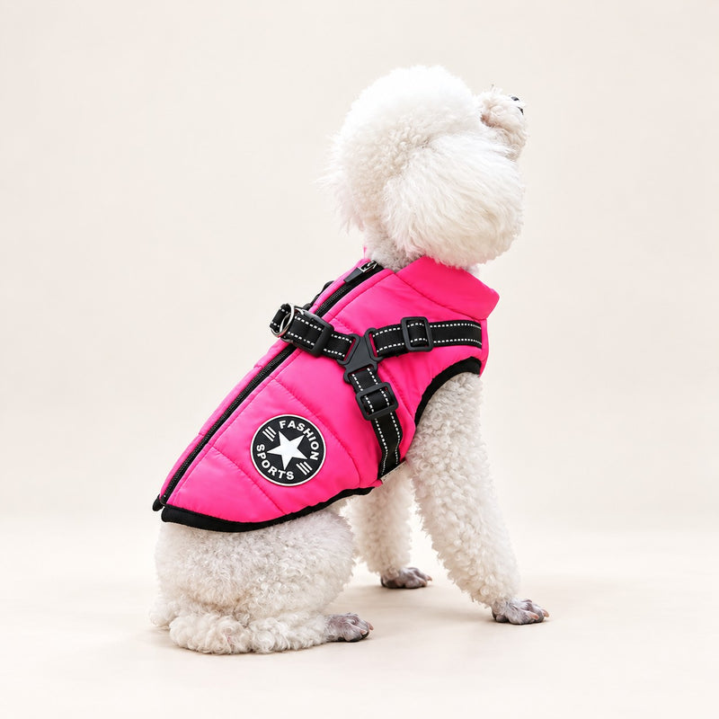 Poodle wearing the raspberry pink harness coat