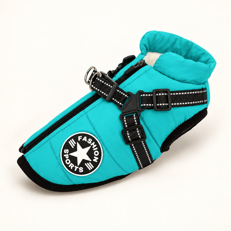 All-weather dog coat in turquoise