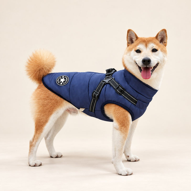 Dog wearing the navy all-weather harness coat